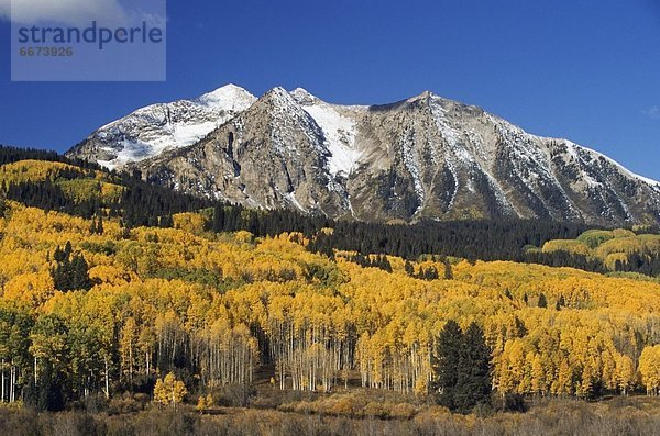 Vereinigte Staaten von Amerika  USA  Rocky Mountains  Colorado