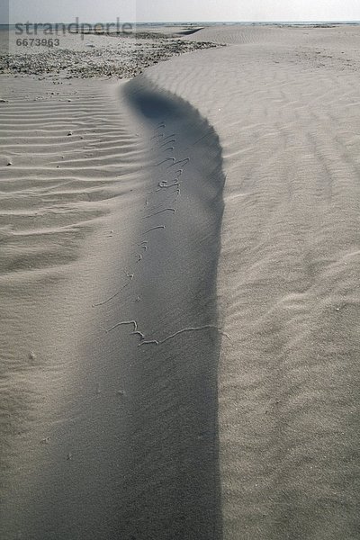 Strand  Küste  Sand  Düne  breit