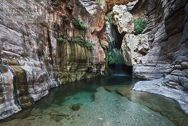 Vereinigte Staaten von Amerika USA Arizona Grand Canyon Nationalpark