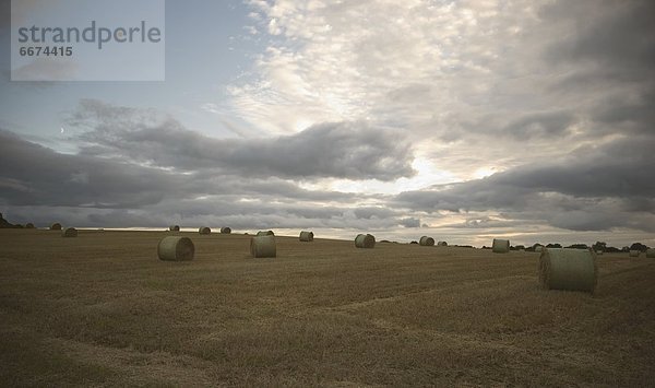 Sonnenuntergang  Feld  Heu  Bündel