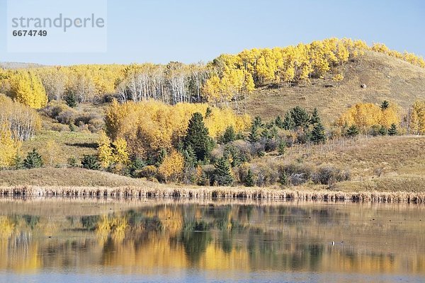 See  Spiegelung  Herbst  Vorgebirge  Alberta  Kanada