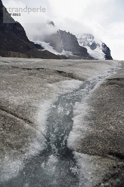 Athabasca-Gletscher