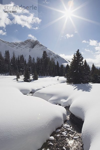 Kananaskis Country  Alberta  Kanada