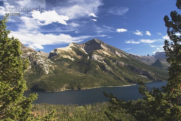 Waterton-Lakes-Nationalpark  Alberta  Kanada