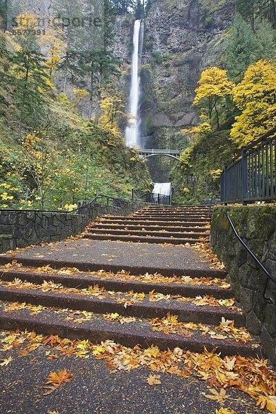 Stufe  hoch  oben  führen  Brücke  Herbst  Wasserfall  Asphalt