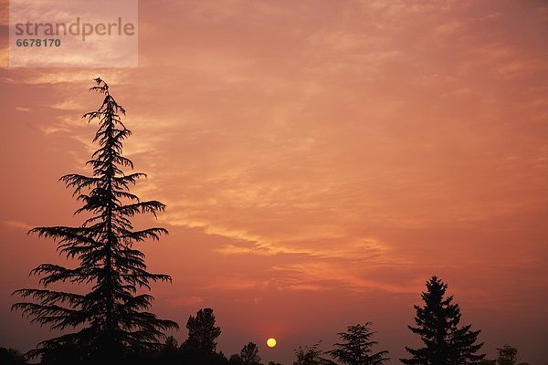 Sonnenuntergang  Baum  Himmel  über