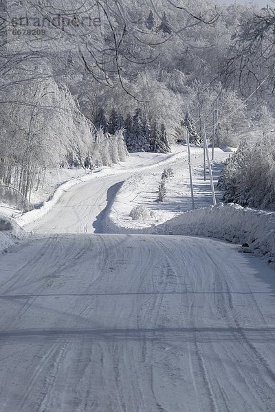 bedecken  Baum  Fernverkehrsstraße  Menschenreihe  Schnee