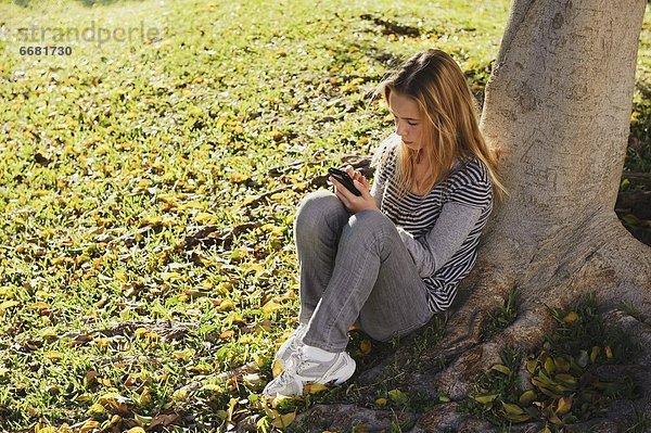 Handy benutzen sitzend Baum unterhalb jung Mädchen
