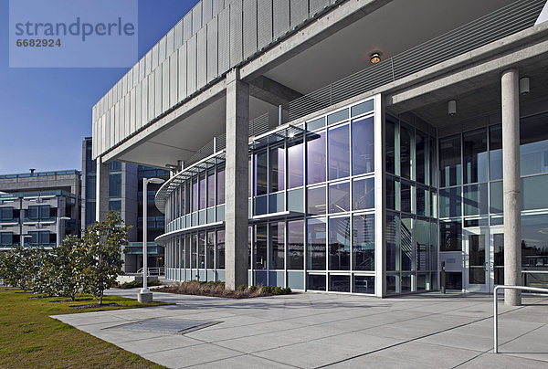 Glas  Gebäude  Fassade  Büro  modern