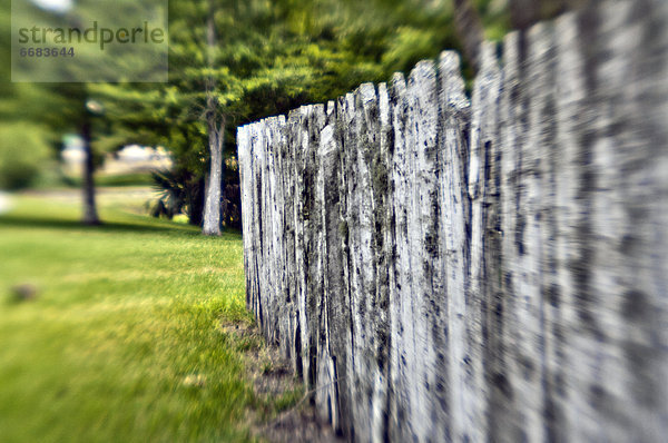 Rustic Fence