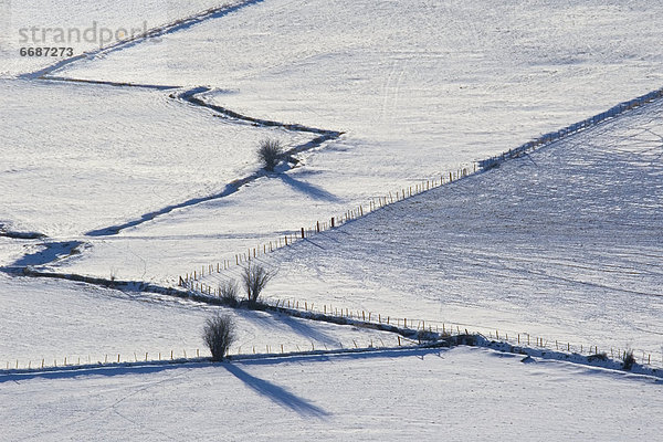 Zaun  Sperre  Linie  Schnee