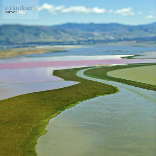 Cultivated Floodplains