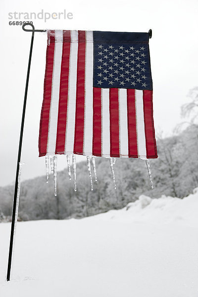 Fahne  amerikanisch  Eiszapfen