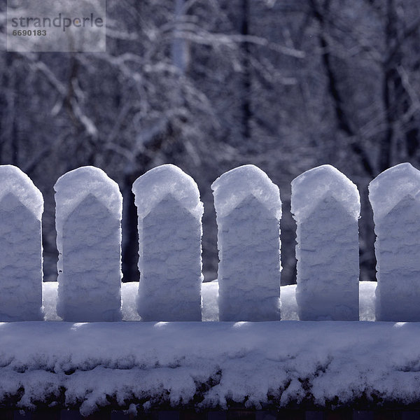 Schneedecke  Winter  Zaun  Streik