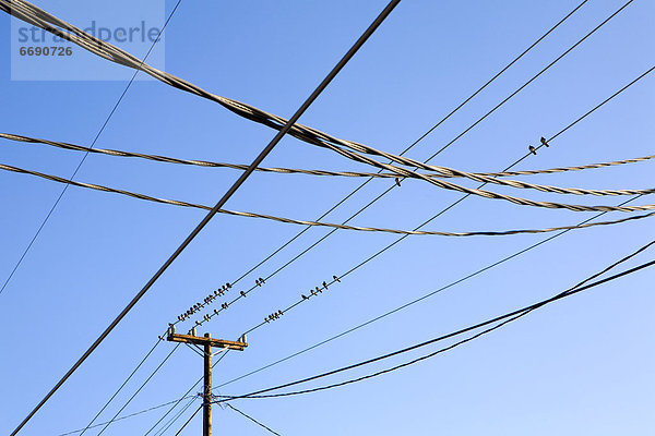 Utility Pole und Stromleitungen