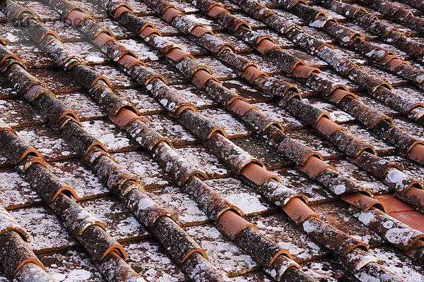 Dach  Detail  Details  Ausschnitt  Ausschnitte  Kachel
