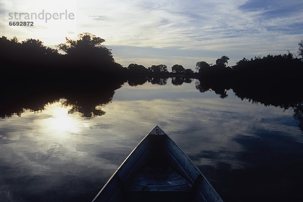 Feuchtgebiet  Abenddämmerung  Pantanal