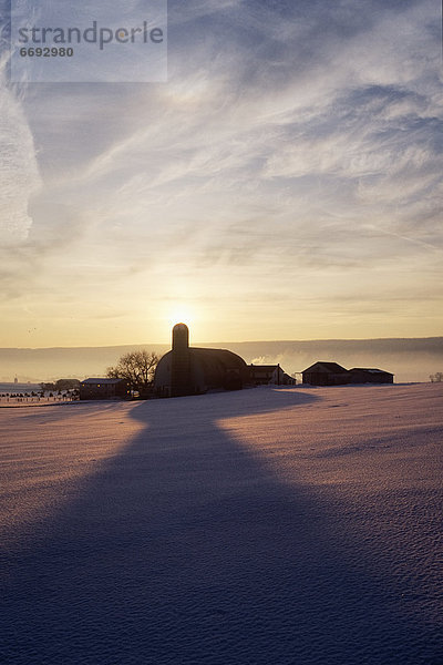 bedecken  Sonnenuntergang  Silhouette  Bauernhof  Hof  Höfe  Feld  Schnee