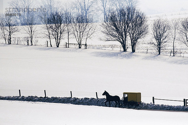 Landschaft  Schnee  Kinderwagen  Amische