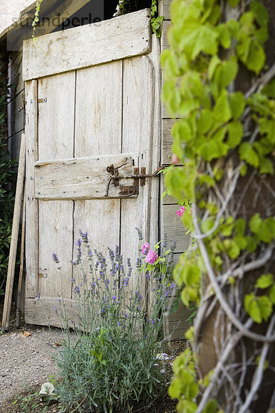 Tür Holz Garten