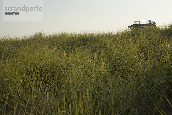 Grassy Hillside