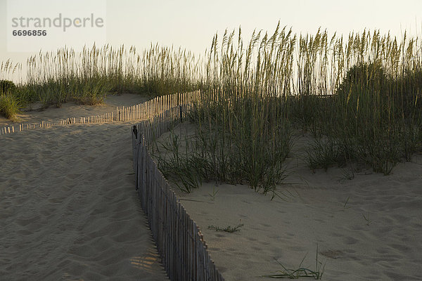 Sand  Düne