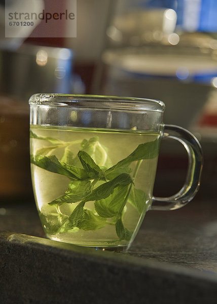 durchsichtig  transparent  transparente  transparentes  Tasse  Glas  Minze  Tee