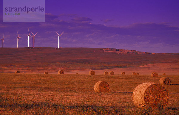 Windturbine Windrad Windräder Heu Bündel