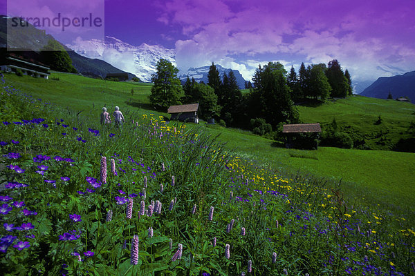 Landhaus Berglandschaft alt