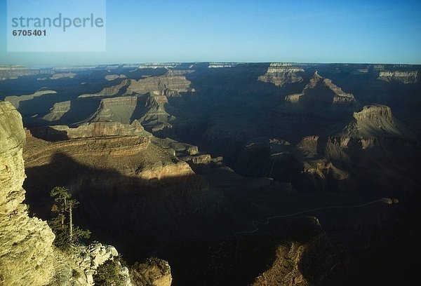 Grand Canyon  Arizona  Usa