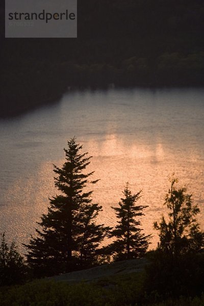 Wasser Berg Sonnenuntergang Baum Cadillac Maine