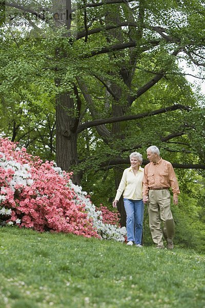 Außenaufnahme  Senior  Senioren  gehen  freie Natur