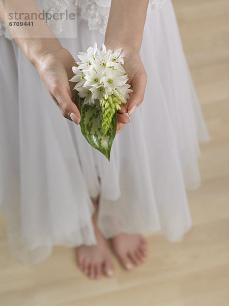 hoch  oben  Frau  Blume  halten  Ansicht  Flachwinkelansicht  Winkel