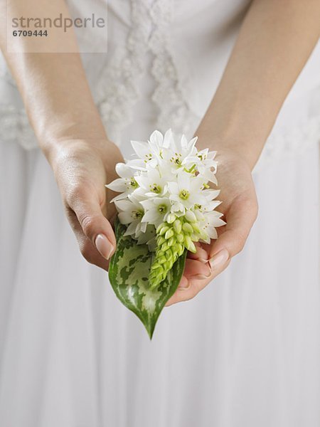 hoch  oben  nahe  Frau  Blume  halten