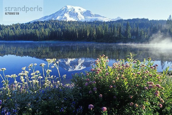 Spiegelung  See  Mount Rainier Nationalpark