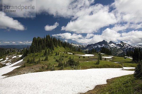 'Field Covered With Snow  Tatoosh Mountains In Background