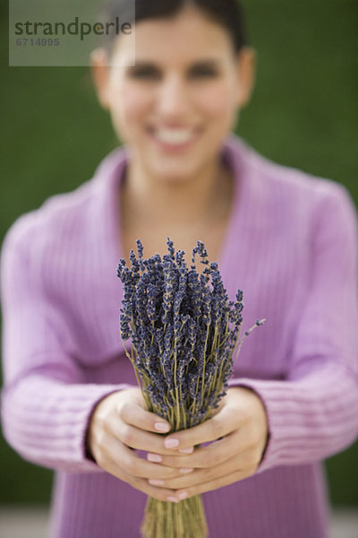 Frau  Bündel  halten  Lavendel