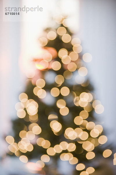 Baum  Unscharf  Weihnachten  schießen