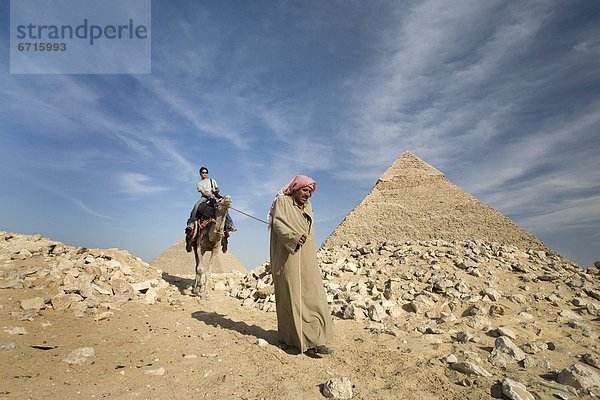 pyramidenförmig  Pyramide  Pyramiden  Führung  Anleitung führen  führt  führend  führen  Passagier  Kamel