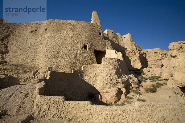 'Temple Of The Oracle