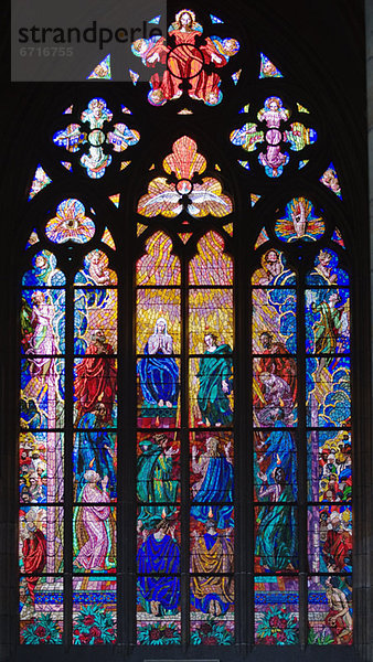 Fenster  Kathedrale