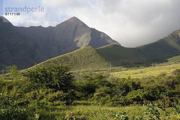 Vereinigte Staaten von Amerika  USA  Hawaii  Maui