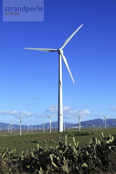 Windturbine Windrad Windräder Cadiz Spanien