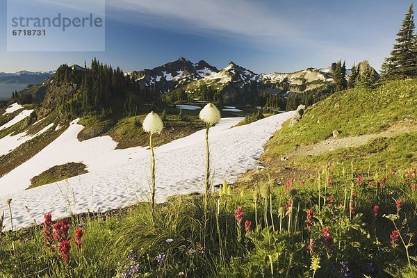 Berg  Hintergrundbild  Schnee