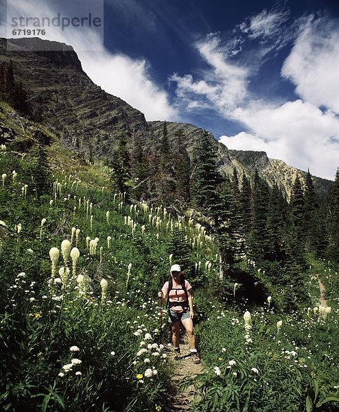 Sommer  wandern  Rocky Mountains  Waterton Lakes Nationalpark  Alberta  Kanada