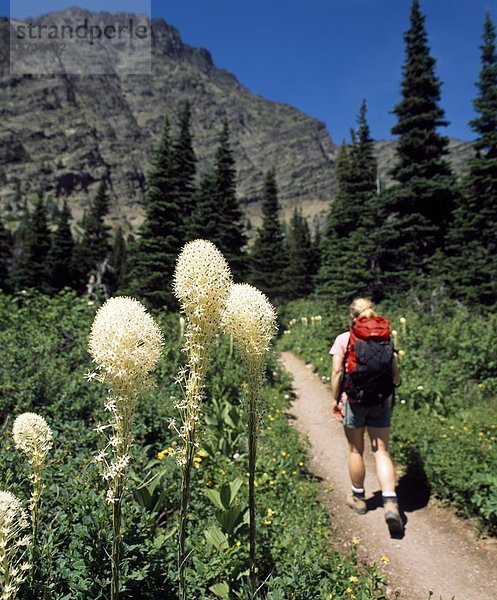 Waterton Lakes Nationalpark  Alberta  Kanada