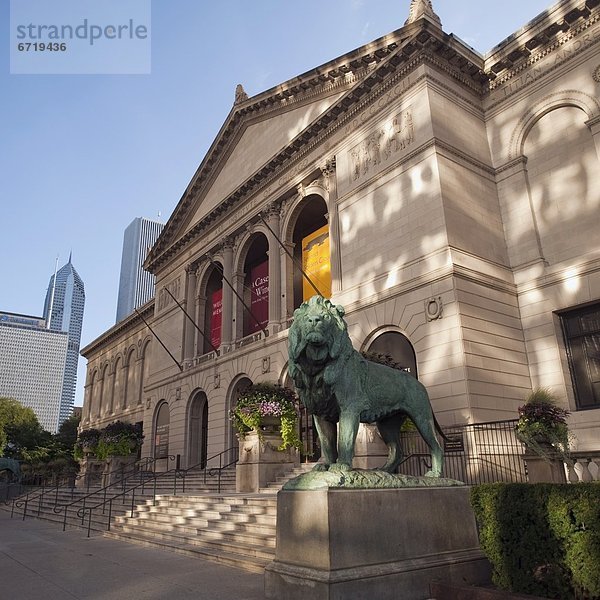 Löwe  Panthera leo  Gebäude  Statue