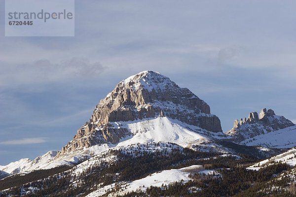 'Crowsnest Mountain