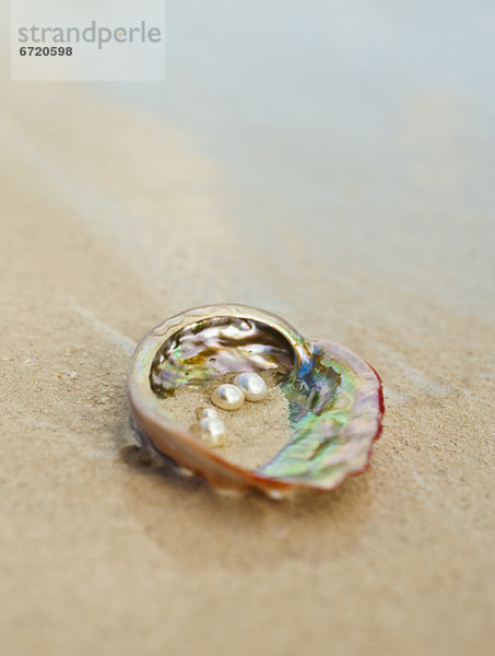 Close-up Perle Auster