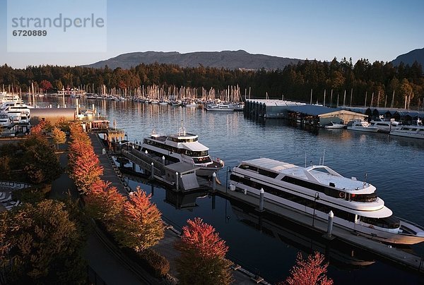 'Coal Harbour